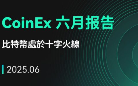 CoinEx 研究院 2025 年 6 月报告：比特币处于十字火线