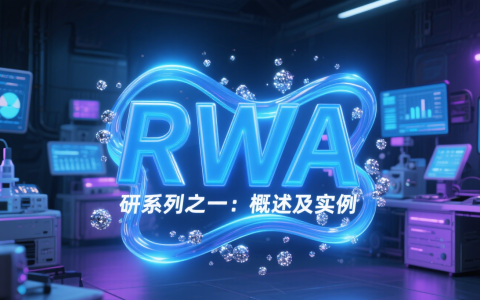RWA研究系列之一：概述及实例