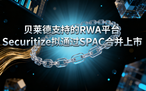 贝莱德加持 RWA 平台 Securitize 拟 SPAC 上市 估值超 10 亿美元改写行业格局